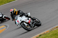 PJ-Motorsport-2019;anglesey-no-limits-trackday;anglesey-photographs;anglesey-trackday-photographs;enduro-digital-images;event-digital-images;eventdigitalimages;no-limits-trackdays;peter-wileman-photography;racing-digital-images;trac-mon;trackday-digital-images;trackday-photos;ty-croes